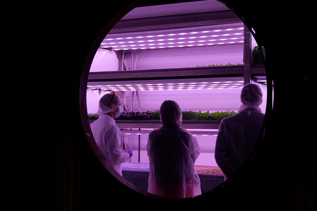 L'universo Planet Farms cresce come esempio di qualità e sostenibilità